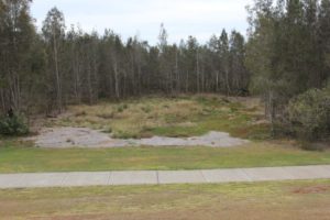 Area of vegetation illegally cleared by Redland City Council in April 2013 photographed 15 months later 