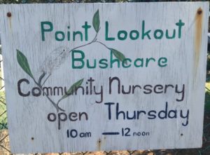 The upgrade planning process neglected to factor in the access requirements of the Point Lookout Bushcare Nursery located along one edge of the park.