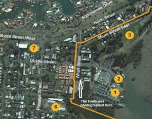 Toondah Harbour Priority Development Area
