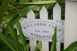 Willards Farm IMGP0394
