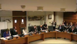 Pam Spence, President of the Birkdale Progress Association, addresses Redland City Council - Photo: from video recording of the meeting