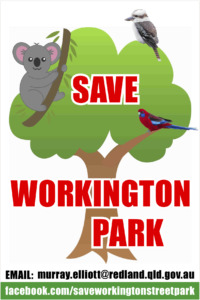 SWAG Flyer Save Workington Park