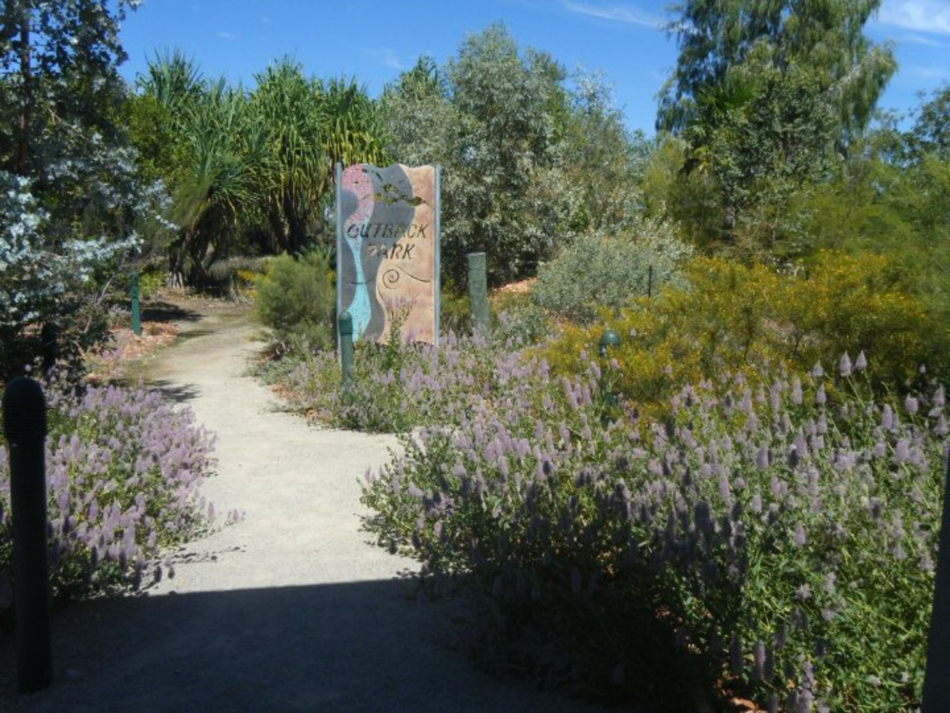  A bird-friendly garden. Karthryn Lambert, Author provided 