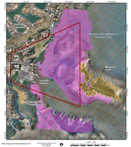 Migratory shorebird foraging habitat from report by BAAM (consultants to Walker Corporation and Redland City Council) 