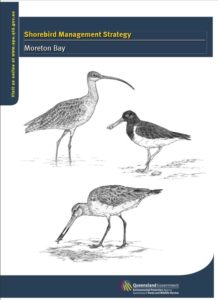 The Queensland Government's Shorebird Management Strategy Moreton Bay