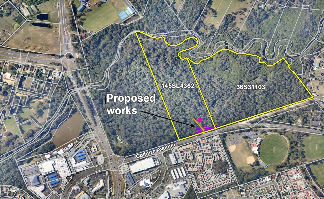 Site of proposed treetop training centre at Colbourn Avenue in Victoria Point
