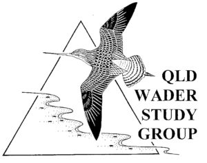 Qld Wader Study Group