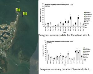 Cleveland, QLD seagrass monitoring sites.