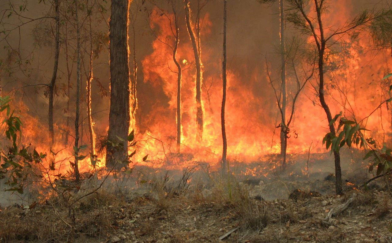 The Queensland Fire and Emergency Services Commissioner says that mainland Redland City does not need a Rural Fire Brigade.