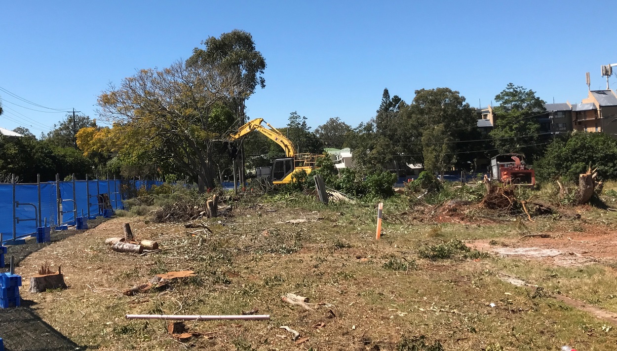 Council approval of destruction of koala habitat questioned by residents