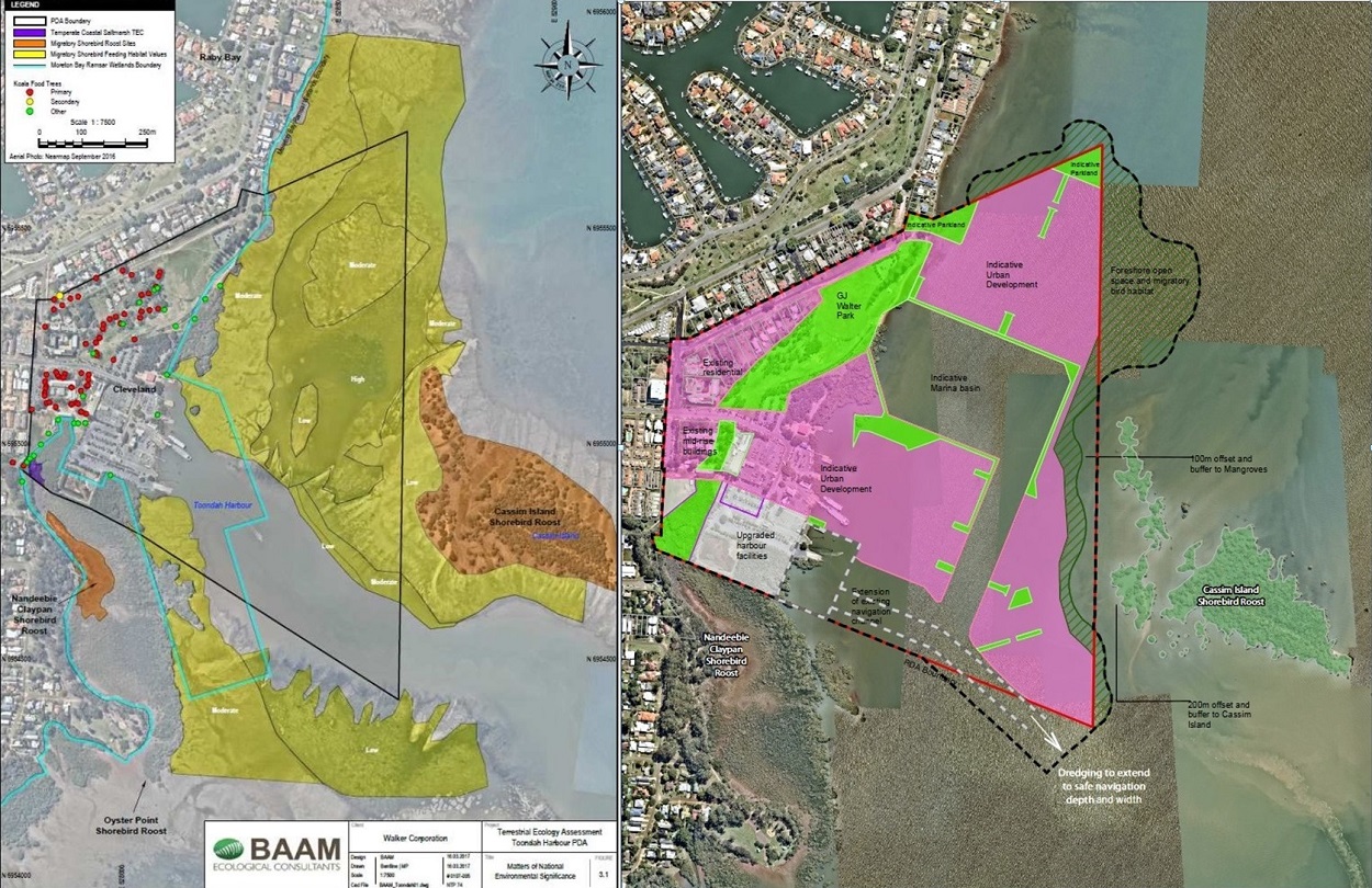Plans to dredge and reclaim Ramsar wetlands next to Toondah Harbour conflict with Labor Party policies.p's p
