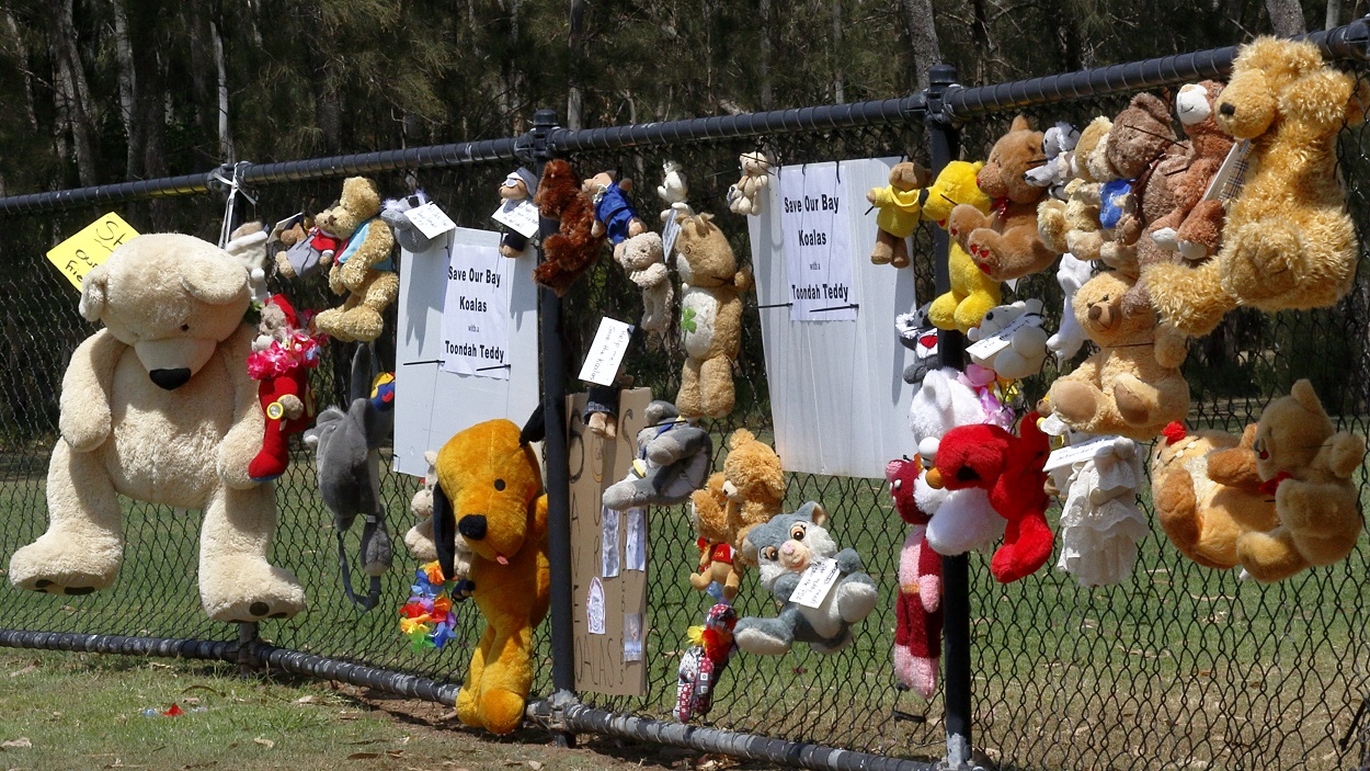 Community members have placed teddies and soft toys on a fence in the park to become the toondah Defenders