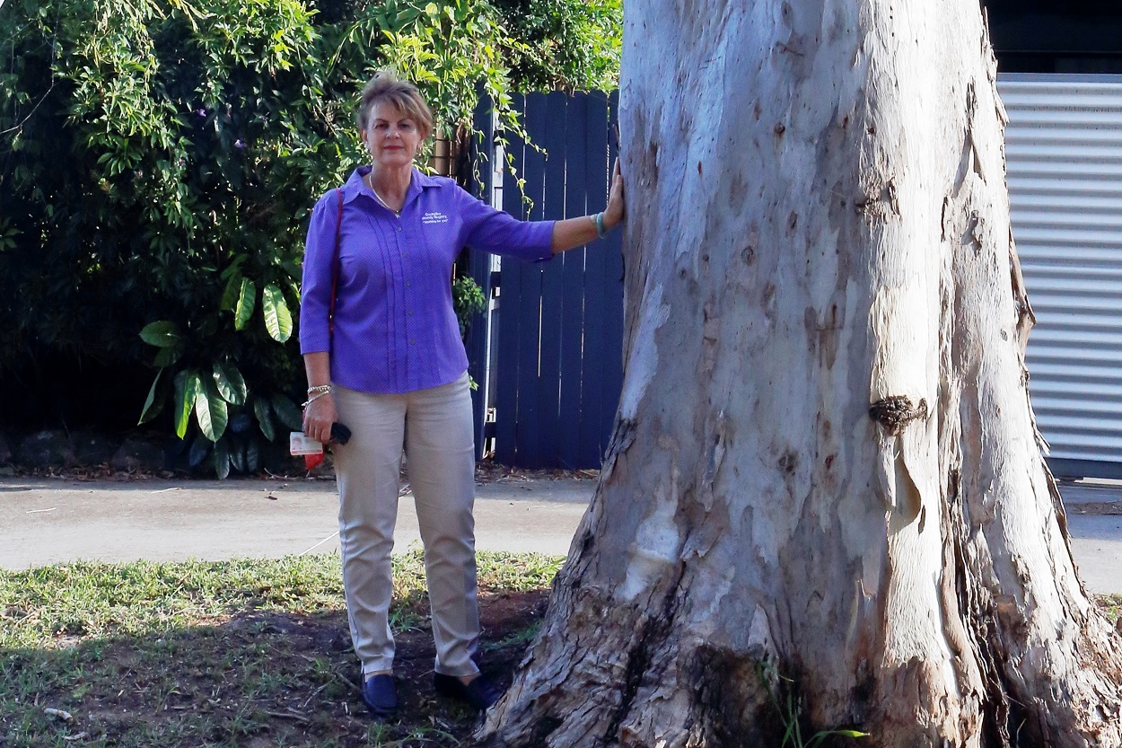 Deputy Mayor Wendy Boglary - concerned about vandalism to a koala tree in O'Connell Parade, Wellington Point