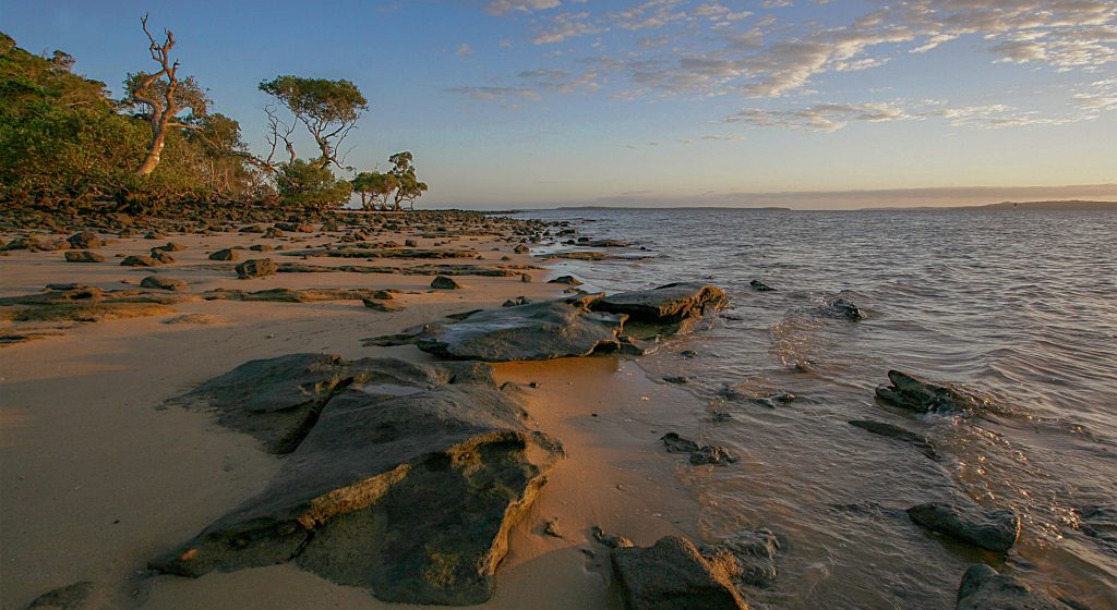 Norfolk Beach on Coochiemudlo Island