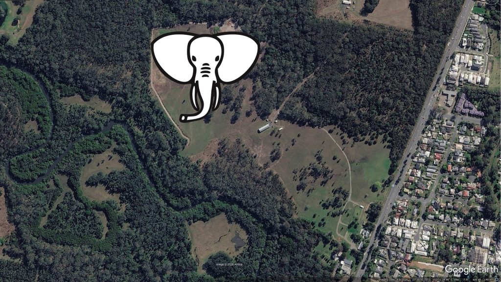 white elephant